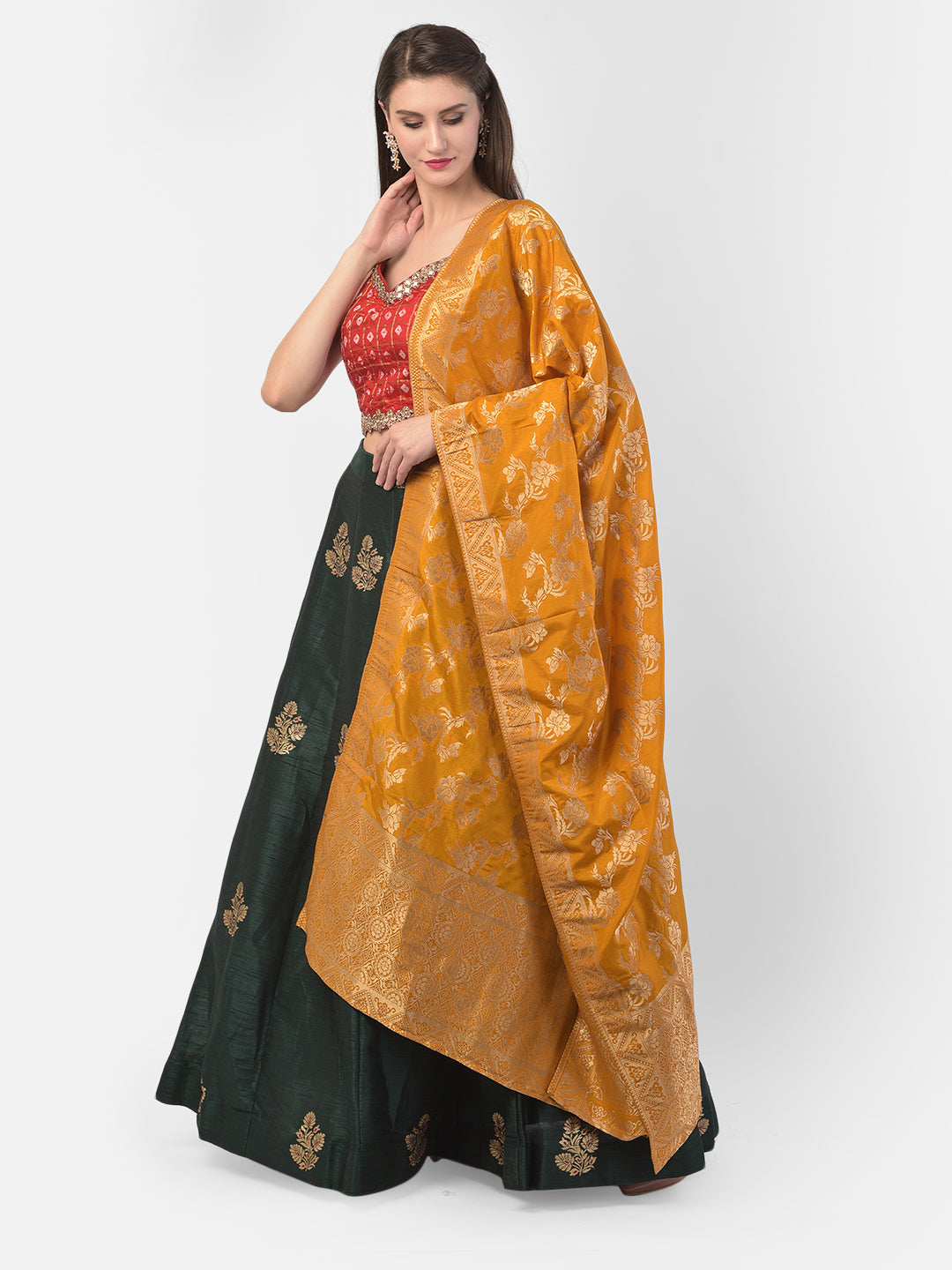 Neerus Green Banarasi woven lehenga set - front view