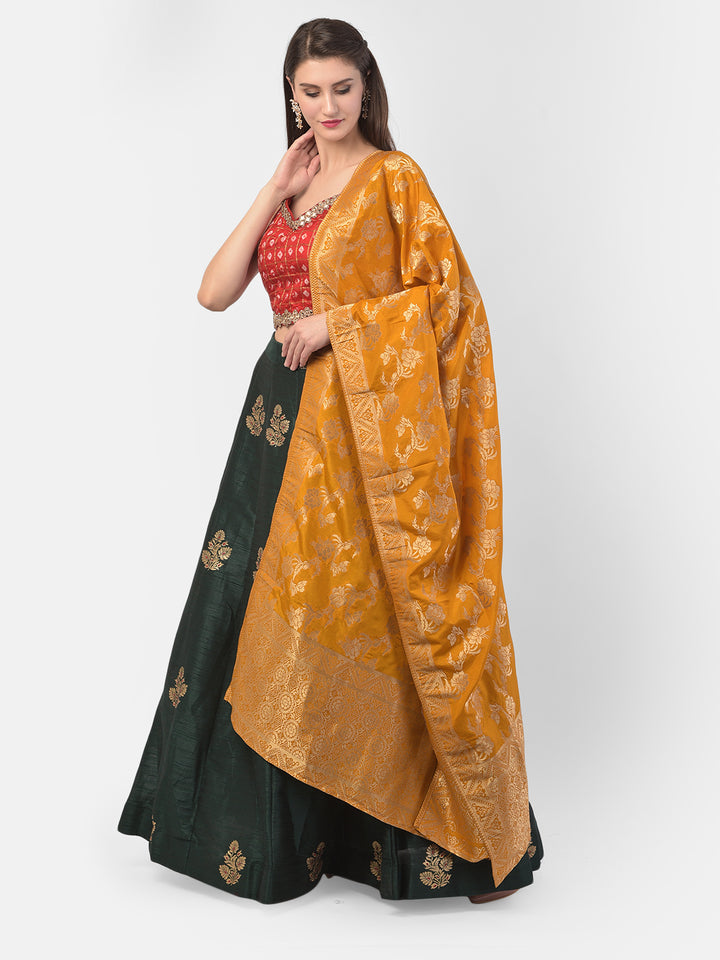 Neerus Green Banarasi woven lehenga set - front view