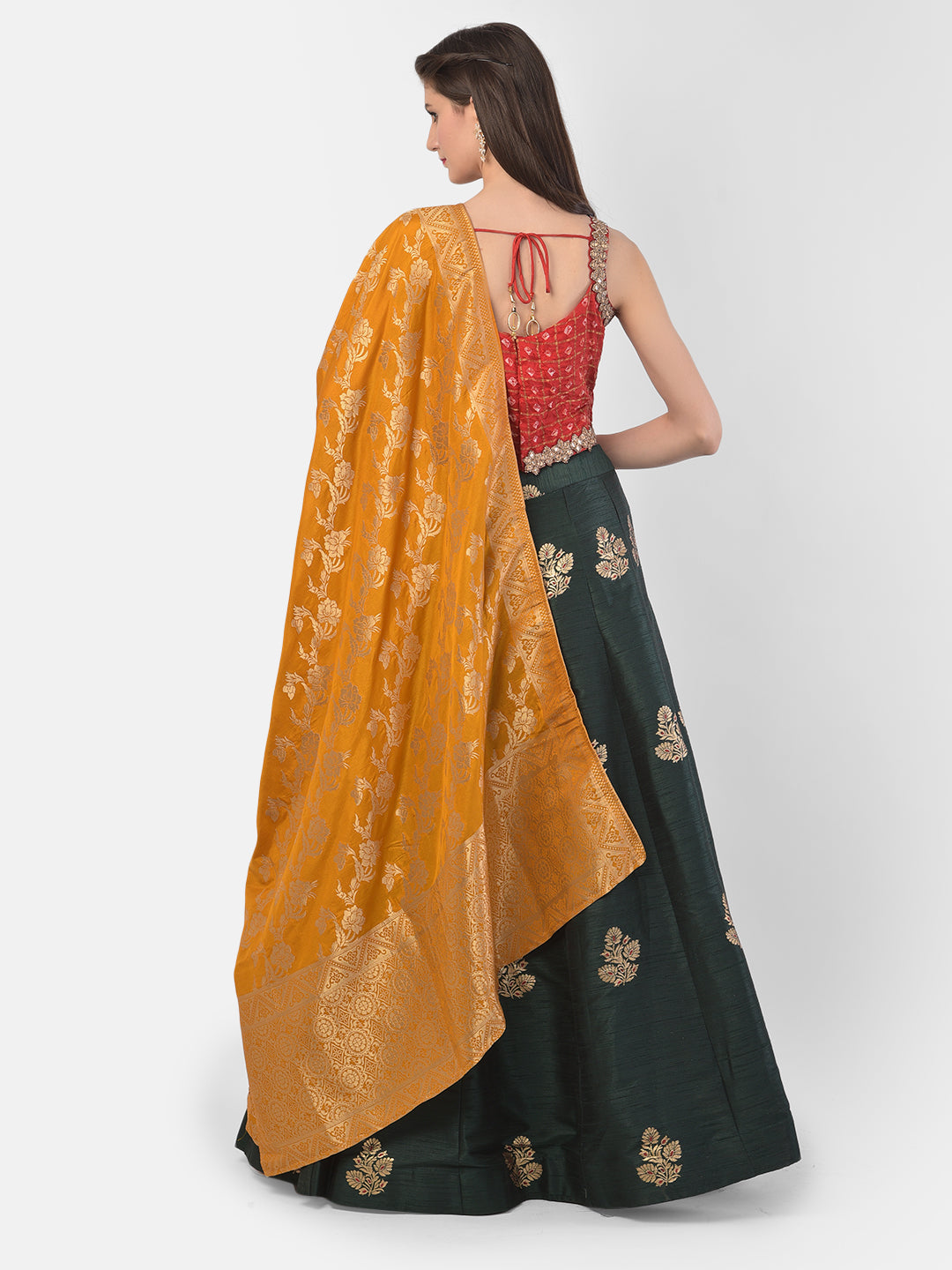 Neerus Green Banarasi woven lehenga set - side view
