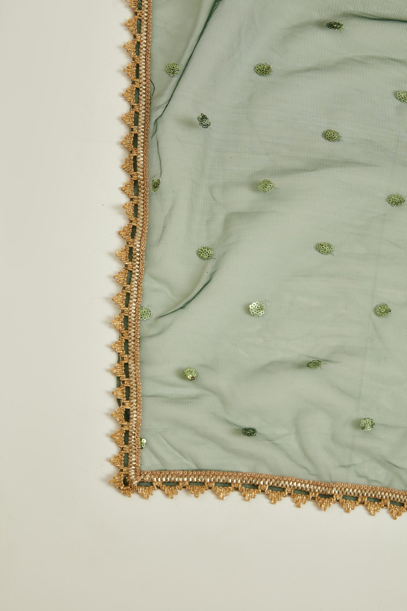Neeru'S B GREEN Colour GEORGETTE Fabric GOWN