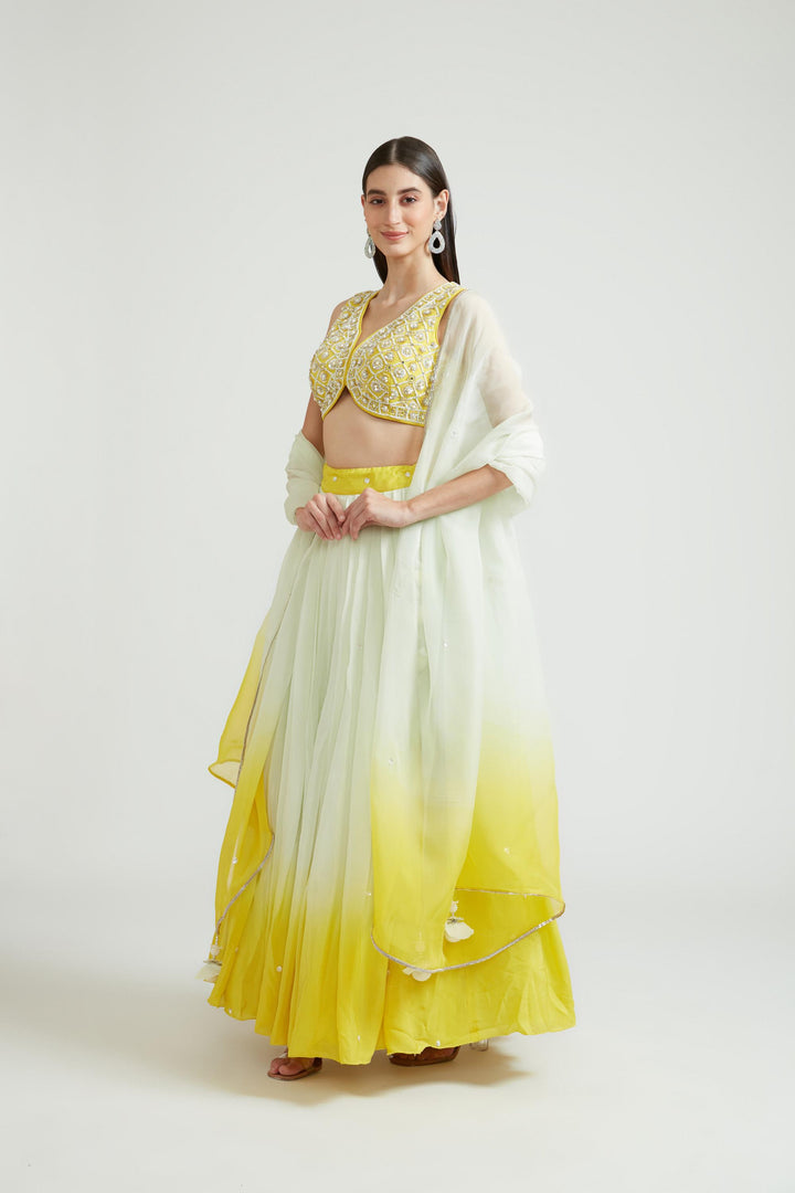Neerus Yellow Chinon Embellished Lehenga Choli Set - back view