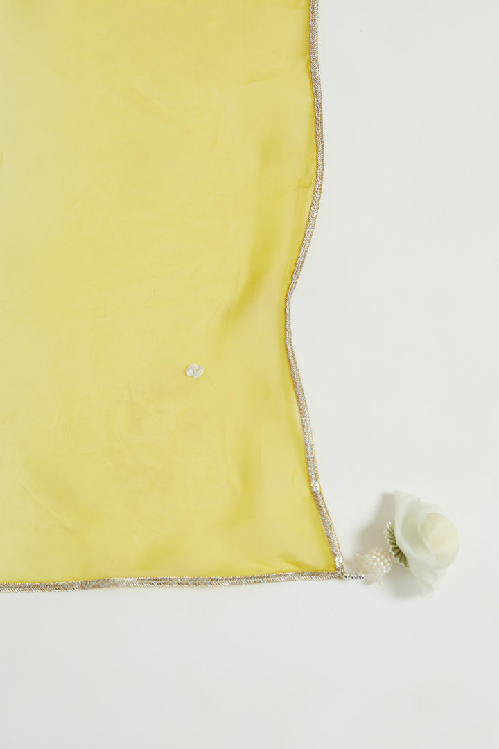 Neerus Yellow Chinon Embellished Lehenga Choli Set - detail view 1