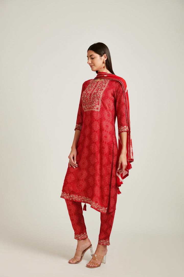 Neerus Red rayon printed kurta set salwar kameez - front view