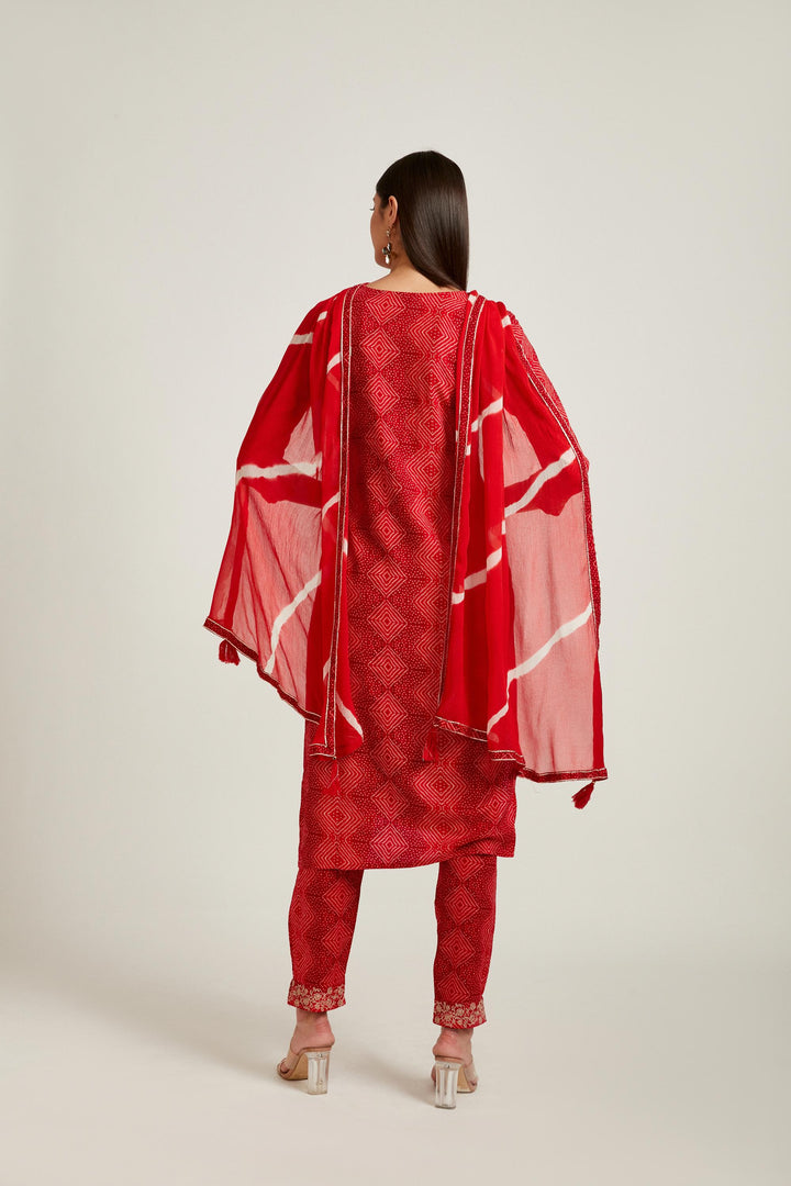 Neerus Red rayon printed kurta set salwar kameez - back view