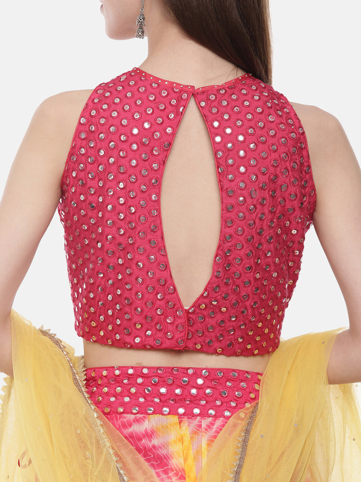 Neerus Pink chiffon flared lehenga set - back view