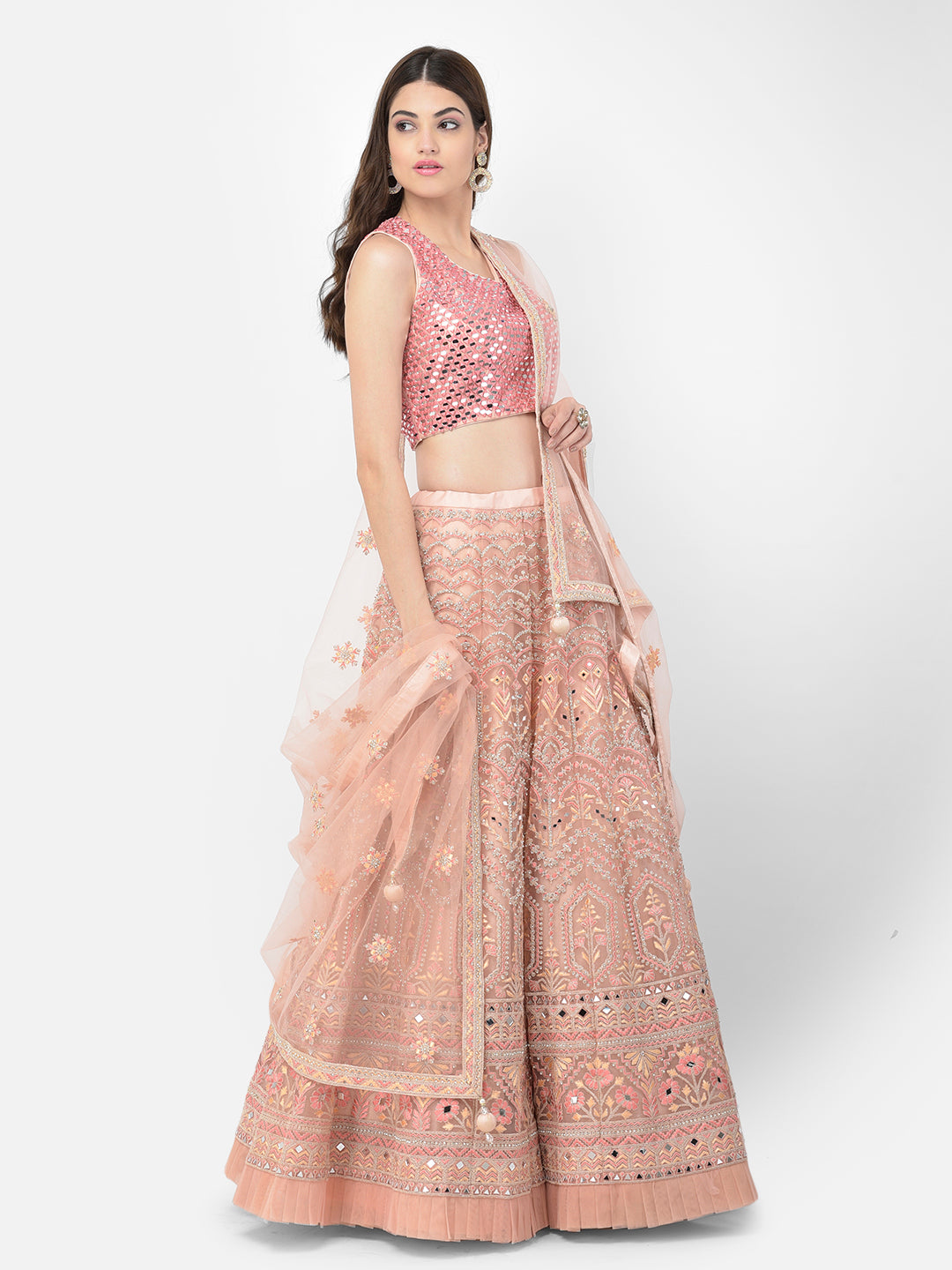 Neeru'S pink color nett fabric lehenga choli
