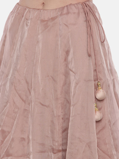 Neeru'S Baby Pink Color Nett Fabric Ghagra Set